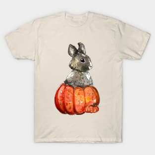 Grey Pumpkin Bunny T-Shirt